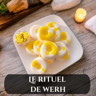 FONDANT LE RITUEL DE WERH